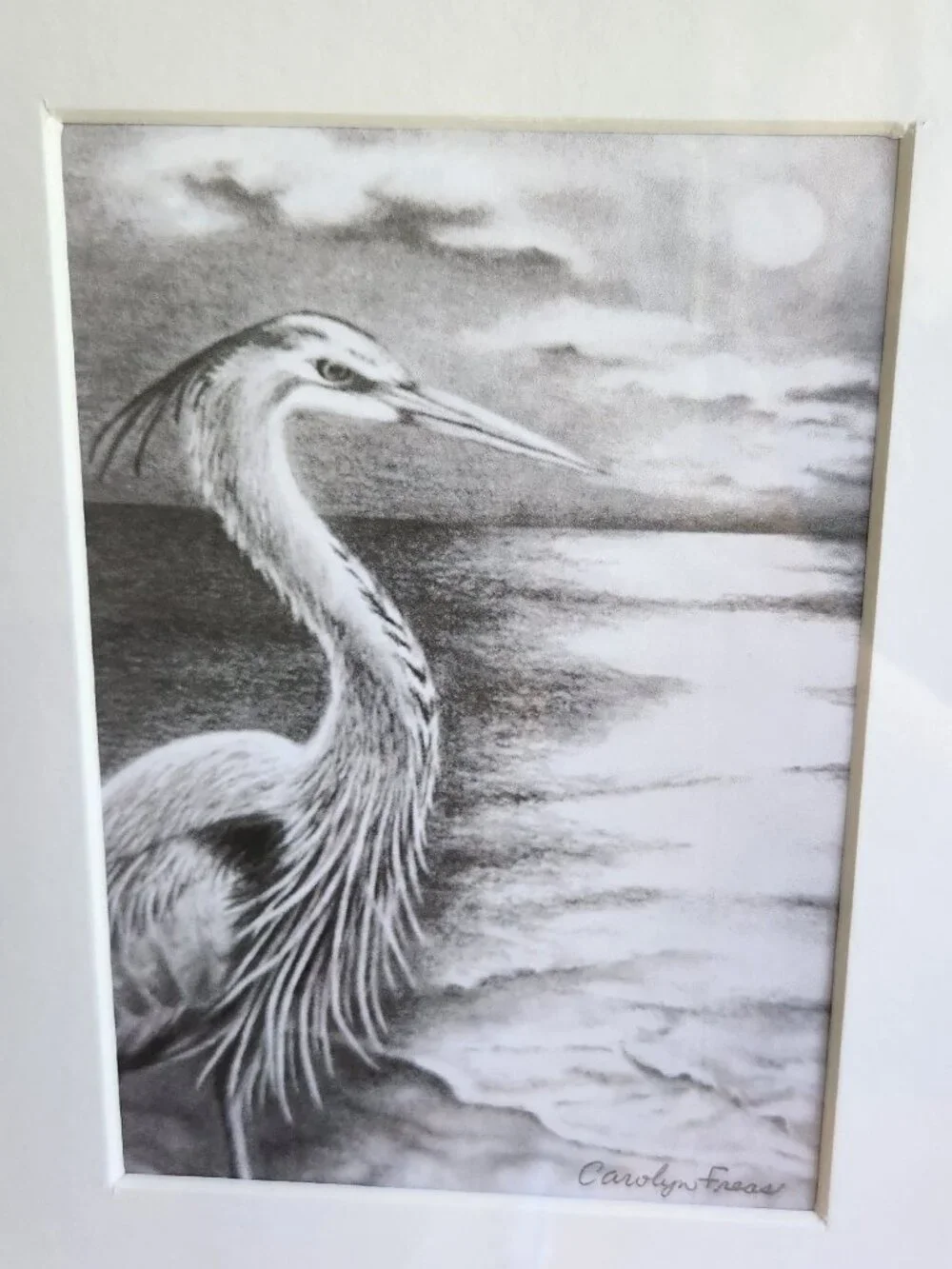 Blue Heron, Original Art Pencil Drawing